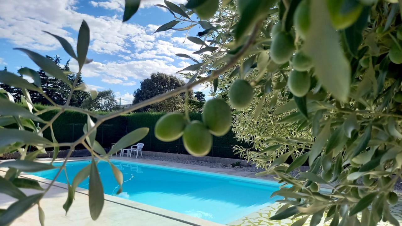 Mas De Bouvau Bed & Breakfast Violes Exterior photo